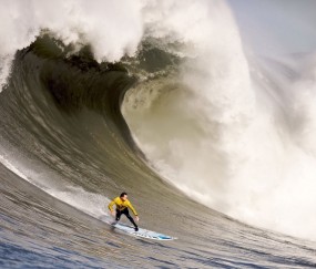 开云体育下载-阿尔及利亚收割沙特，三笘薰如何成为亚洲足球的权力关键先生